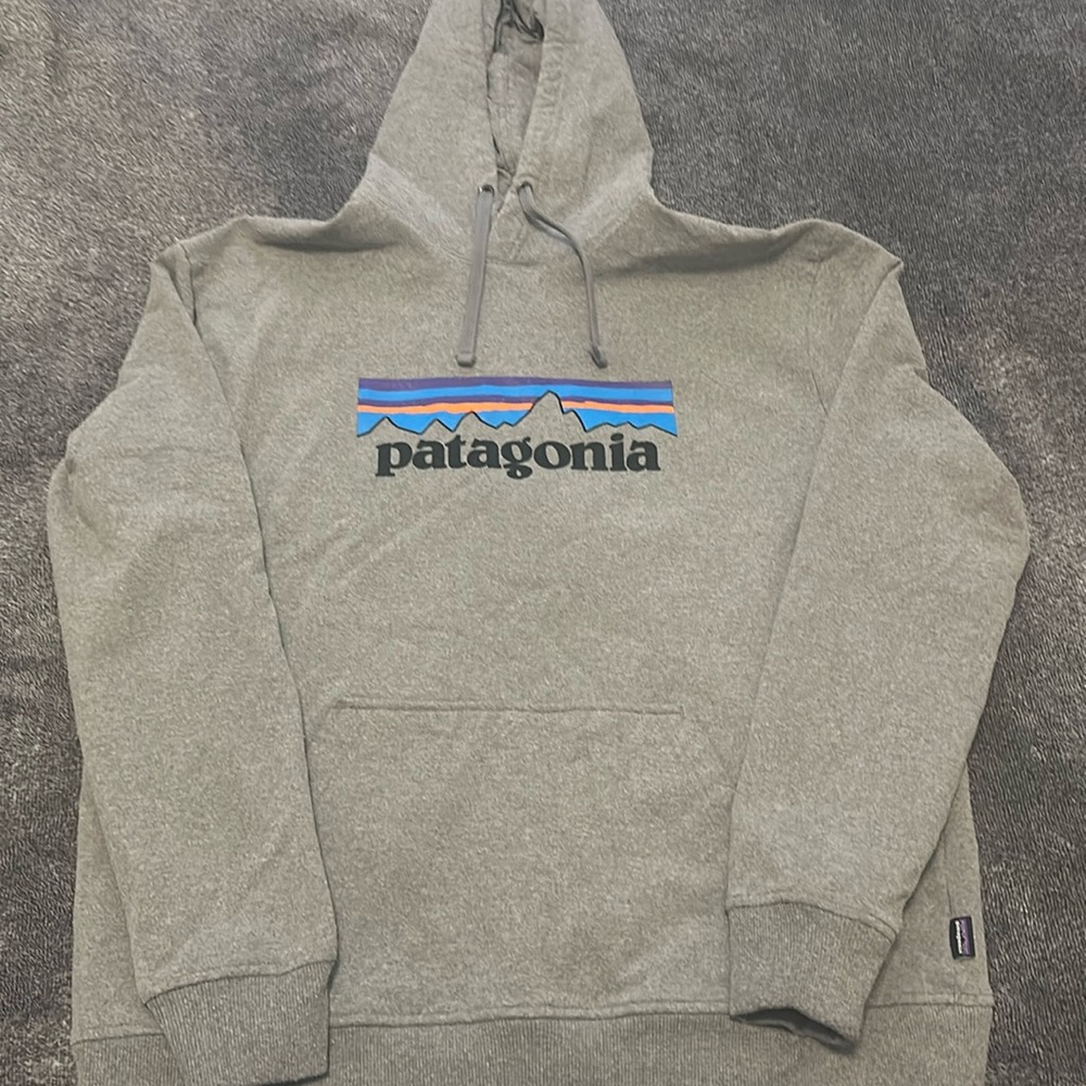 Patagonia hoodie size Large